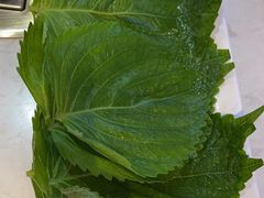 -杨记齐齐哈尔烤肉(总店)