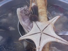 -千岛蚝高压锅生蚝·人参火锅(白云万达店)