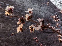 -北京明城墙遗址公园