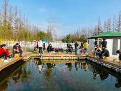-前小桔亲子创意农场·草莓采摘·露营烧烤
