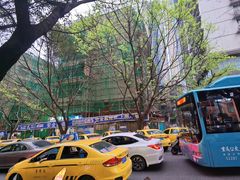 -山东水饺(南坪新街店)