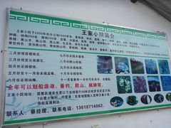 -王家小院