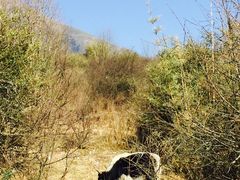 -石棉县孟获城