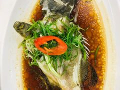 清蒸青斑鱼-和乐喜宴海鲜酒家(骏荣广场店)