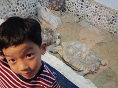 -上海大自然野生昆虫馆(东方明珠·爬宠昆虫探索中心)
