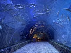 -华夏文旅海洋公园