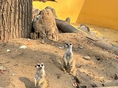 -北京野生动物园