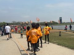 -春花秋色城市公园