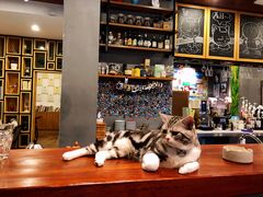 -咖法森林·咖啡  酒吧(天河店)