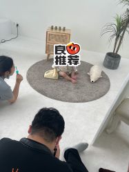 -玛瑞莎·儿童·亲子摄影(越秀店)