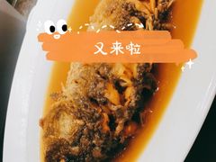 -阿庄新豫菜(航海东路店)