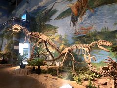 -自贡恐龙博物馆