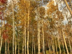 -长春市南湖公园