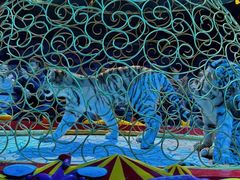 -广州长隆国际大马戏