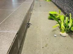 -帝京日语(春熙路旗舰校区)