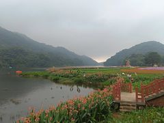 -广州市石门国家森林公园