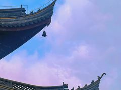 -上海青龙寺