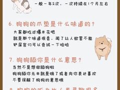 -瑞鹏宠物医院·骨外科·心肾科·肿瘤科(九亭店)