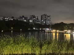 -新江湾城公园