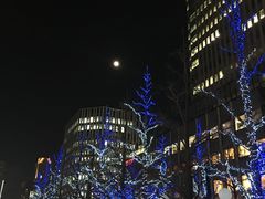 -北海道厅旧本厅舍(旧本庁舎)