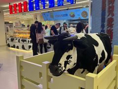 -红星前进面包牛奶公司(君太店)