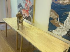 -伽利略剧本探案馆(国贸店)