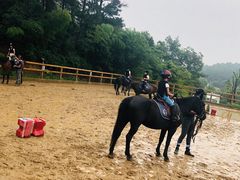 -枫露马术学院(藏书校区)