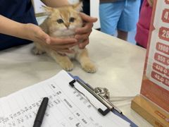 -博特宠物医院24h犬猫全科.骨科·异宠
