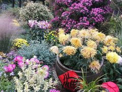 -杭州植物园