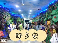 -上海大自然野生昆虫馆(东方明珠·爬宠昆虫探索中心)