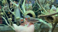 -Zoolung Zoolung动物主题公园(海信广场店)