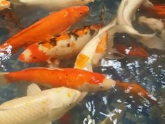 -盆满钵满·国家非遗传承(云台店)
