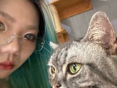 -豆逗聊愈猫阁Easy Life