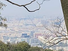 -灵顺寺