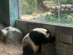 -海南热带野生动植物园