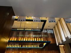 -拉萨瑞吉酒店-秀餐厅