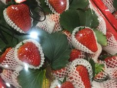 -菜园坝水果市场