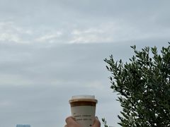-金鸡湖桃花岛
