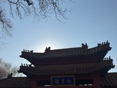 -桃花堤公园