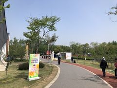 -上海长兴岛郊野公园