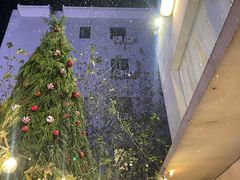 -秀儿家の小确幸花园西餐厅