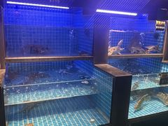 -大鹏饭店·金陵家宴(奥体中心店)