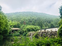 -九龙潭景区