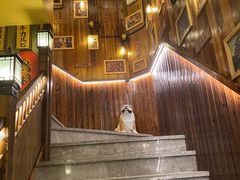 -鸟鹏烧鸟居酒屋(昌岗店)