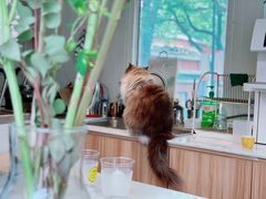 -灯塔咖啡馆BOOK·Coffee Shop