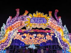 -海合安成都极地海洋公园