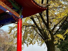 -岳麓山风景名胜区