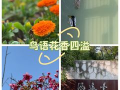 -牛岗山公园