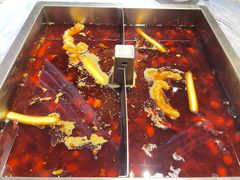 红汤酸菜黄辣丁-尽膳·鱼鲜川菜(宽窄巷子店)