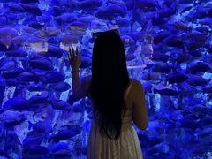 -哈尔滨波塞冬海底世界